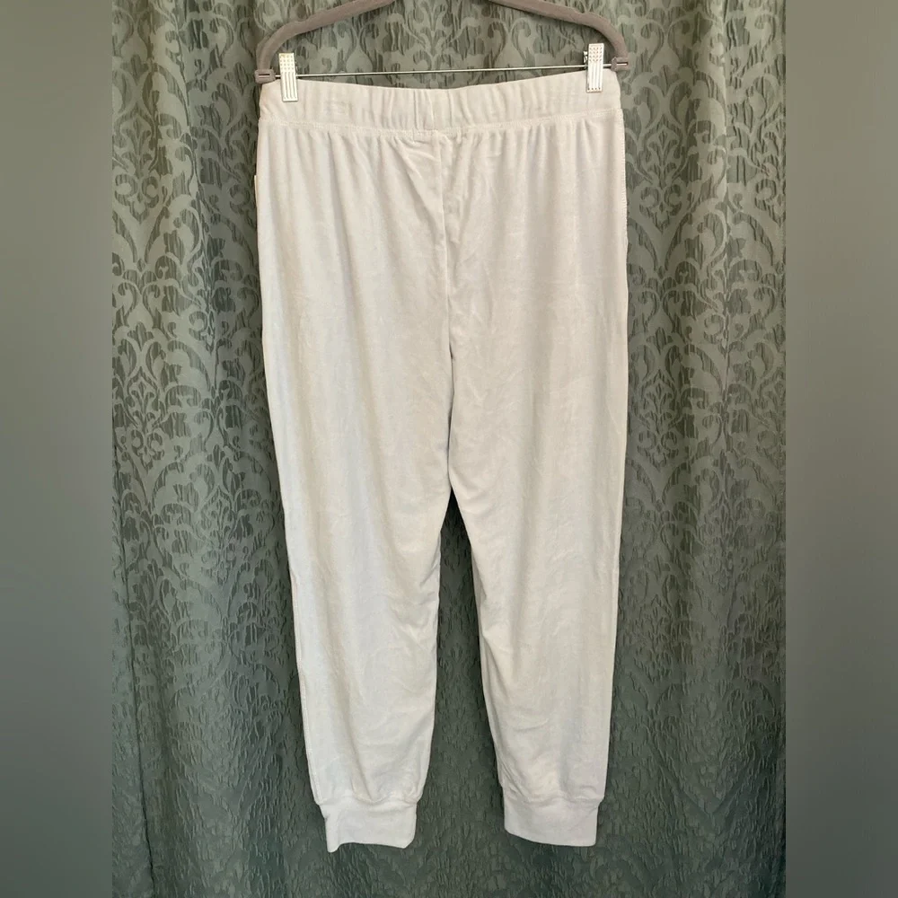 Planet Gold | NWT Women’s Baby Blue Velour Joggers - Picture 3 of 5